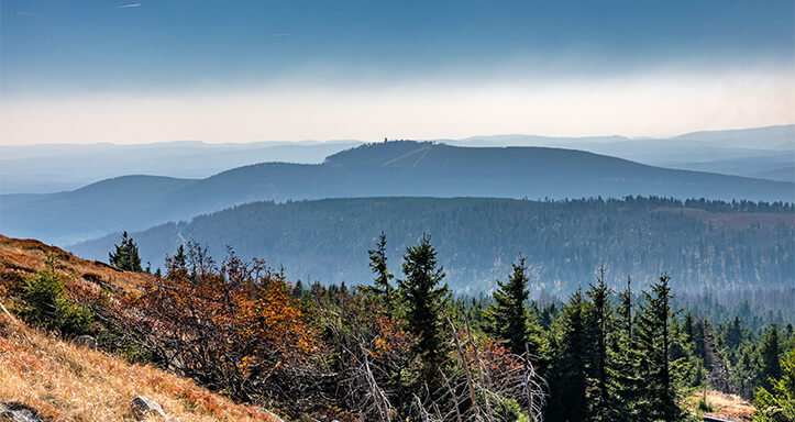 Landschaft im Harz