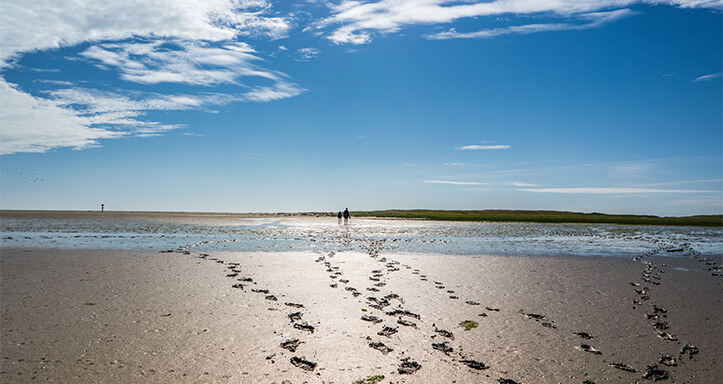 Fußspuren im Watt der Nordsee