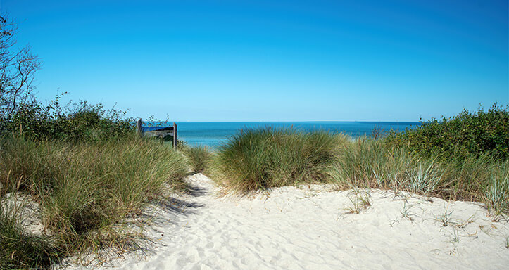 Dünen an der Ostsee